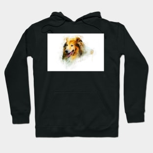 Rough Collie / Long-haired Collie watercolor Hoodie